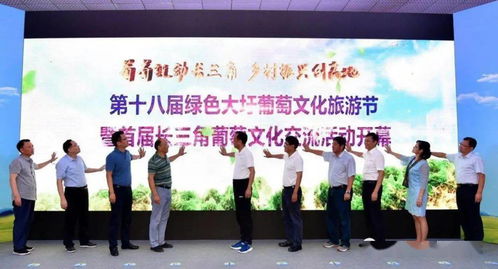 盧仕仁出席大圩葡萄文化旅游節暨首屆長三角葡萄文化交流活動